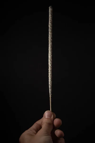 Copal Incense Sticks Tree Resin Particularly Aromatic Resins Copal Tree — Fotografia de Stock