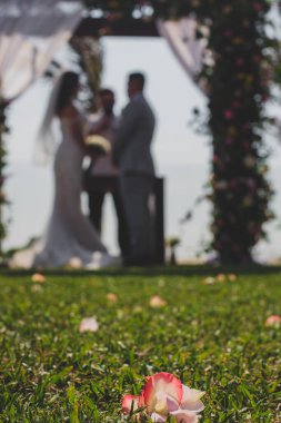 Düğün, iki ya da daha fazla insanın evlilikle birleştiği bir törendir. Düğün gelenekleri ve gelenekleri, kültürlerin düğün kavramları arasında büyük farklılık gösterir.