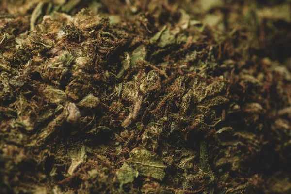 Macro Close Portrait Cannabis Marijuana Dry Buds Selective Focus Black — Foto de Stock
