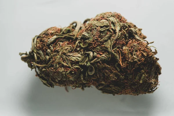 Macro Close Portrait Cannabis Marijuana Dry Bud Selective Focus White — Fotografia de Stock