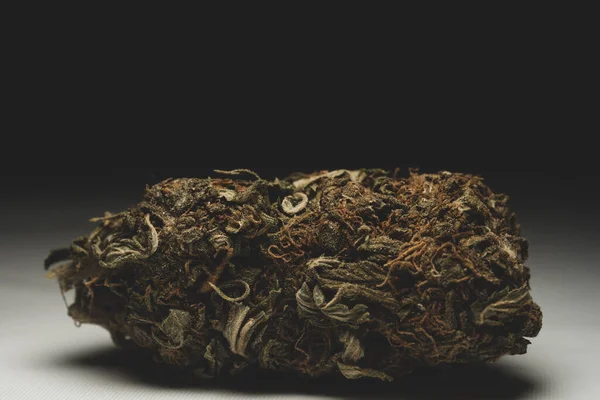 Μακρο Κοντινό Πορτρέτο Της Cannabis Marijuana Dry Bud Επιλεκτική Εστίαση — Φωτογραφία Αρχείου