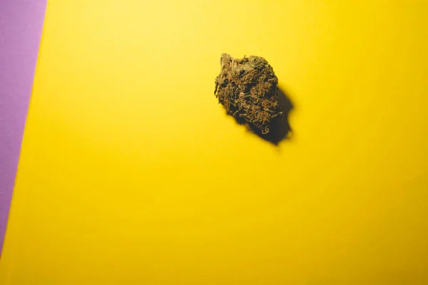 Cannabis Marijuana Dry Bud Yellow Purple Background Selective Focu — Stock Fotó
