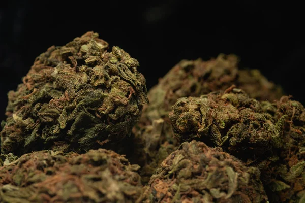 Macro Close Portrait Cannabis Marijuana Dry Buds Selective Focus Black — Fotografia de Stock