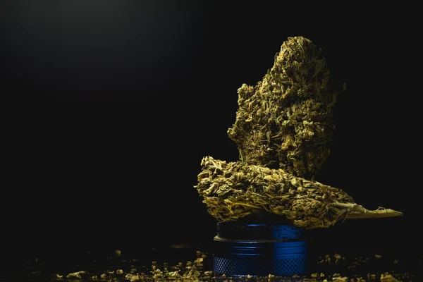 Macro Close Portrait Cannabis Marijuana Dry Buds Grinder Selective Focu — Fotografia de Stock