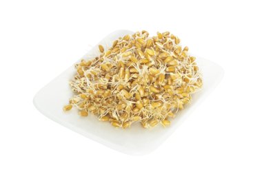germinated buğday