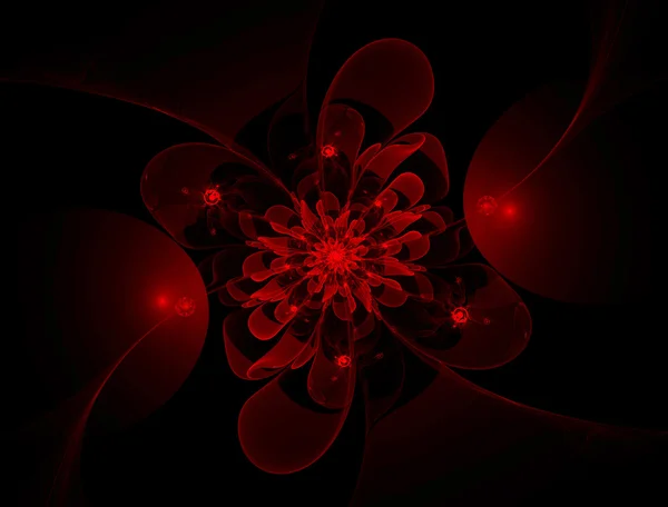 Flor fractal roja . —  Fotos de Stock