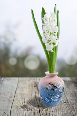 güzel beyaz sümbül ile kolaj아름 다운 흰 히 아 신 스와 콜라주.