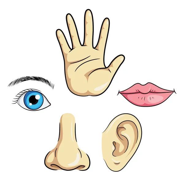 Eye Ear Nose Lips & Hand — Stock Vector