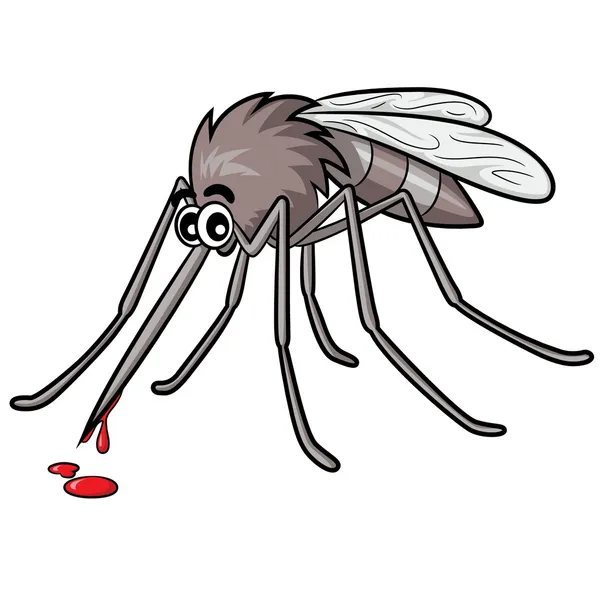 Mosquito Cartoon — Stock Vector