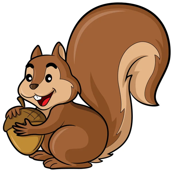 Squirrel Cartoon — Stock Vector