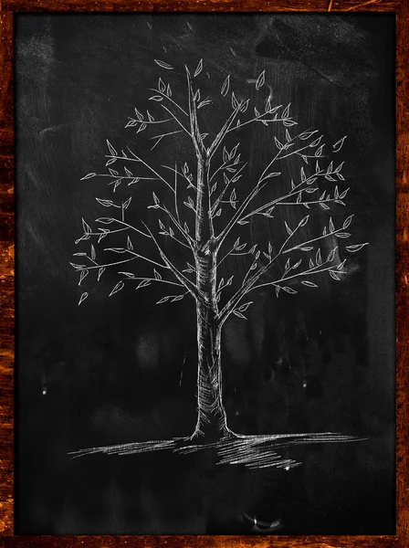 黒板に葉を持つ木のスケッチ — ストック写真