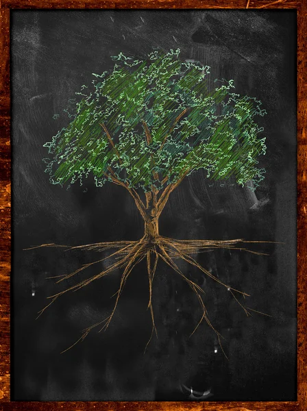 Tree Sketch color leaves and root on blackboard — Stock Photo, Image