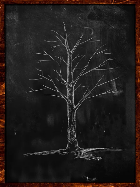 Tree Sketch without leaves on blackboard — Stock Photo, Image