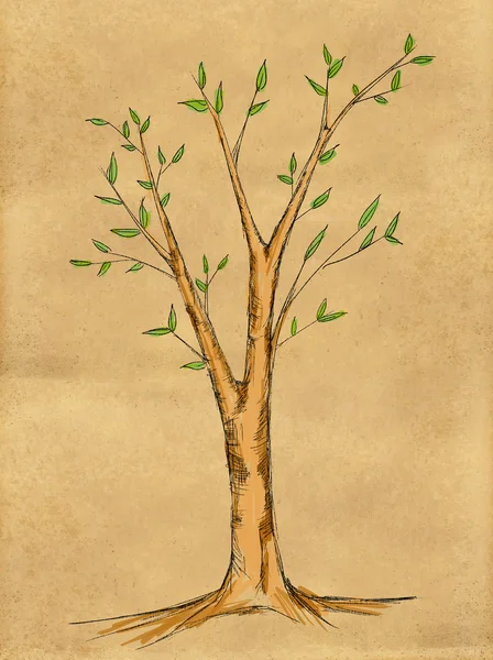 Branch Tree water color on Paper — Stock Photo, Image