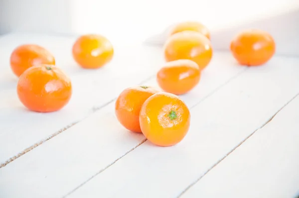 Citrusfrukter, — Stockfoto