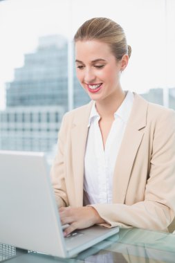 onu laptop çalışma iş kadını gülümseyen