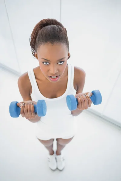 Vista de ángulo alto de la mujer en forma no sonriente haciendo ejercicio con pesas —  Fotos de Stock