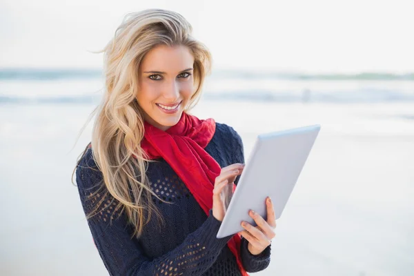Sonriente sexy rubia sosteniendo tableta ordenador —  Fotos de Stock