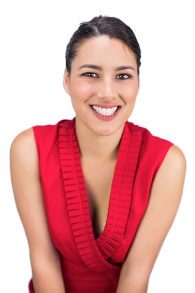 Cheerful tied haired brunette posing — Stock Photo, Image