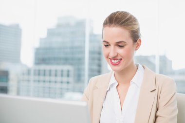 onu laptop çalışma neşeli muhteşem iş kadını