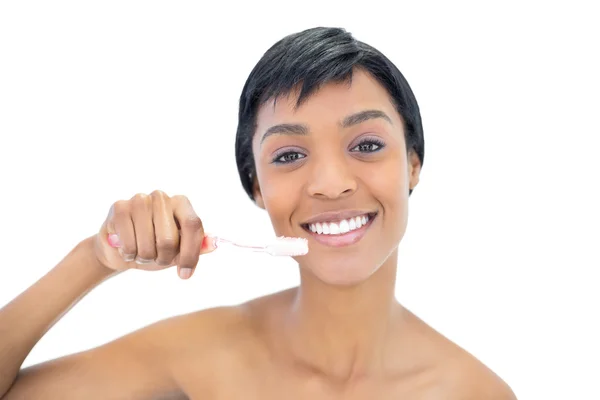 Gorgeous black haired woman brushing her teeth — Stock Photo, Image