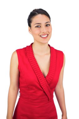 Kırmızı elbise poz içinde seksi bağlı saçlı esmer