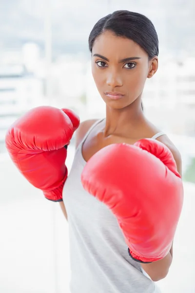 Konkurrenzfähiges seriöses Model mit roten Boxhandschuhen — Stockfoto