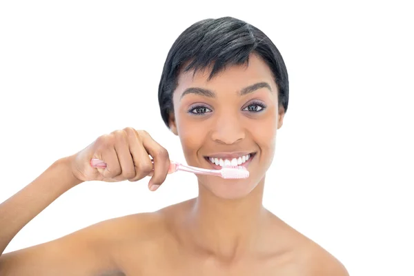 Charming black haired woman brushing her teeth — Stock Photo, Image