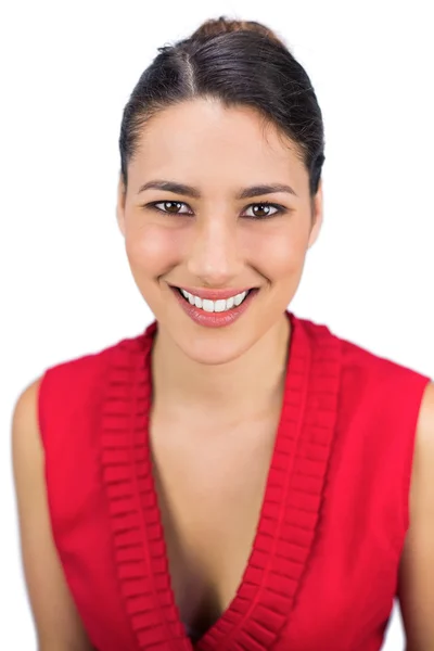 Smiling tied haired brunette posing — Stock Photo, Image