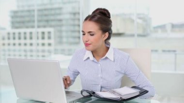 Genç işkadını laptop ve günlüğü ile planlama