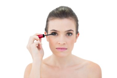 rimel uygulamak odaklı model