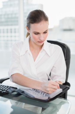 iş kadını günlüğüne yazma