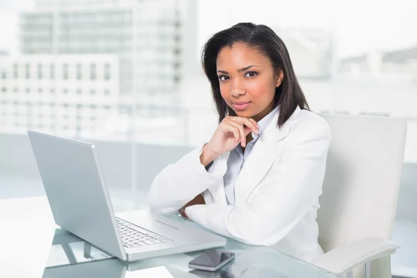 Attraente giovane donna d'affari utilizzando un computer portatile — Foto Stock