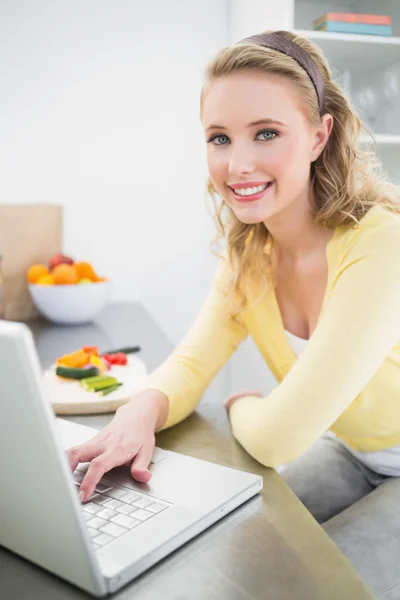 Alegre sonriente linda rubia usando portátil — Foto de Stock