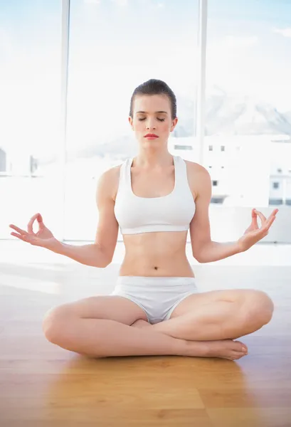 Modelo de ajuste pacífica em sportswear meditando na posição de lótus — Fotografia de Stock