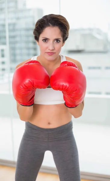 Serious brunette boxing — Stock Photo, Image