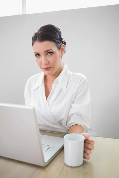 Charming businesswoman working on laptop — Stock Photo, Image