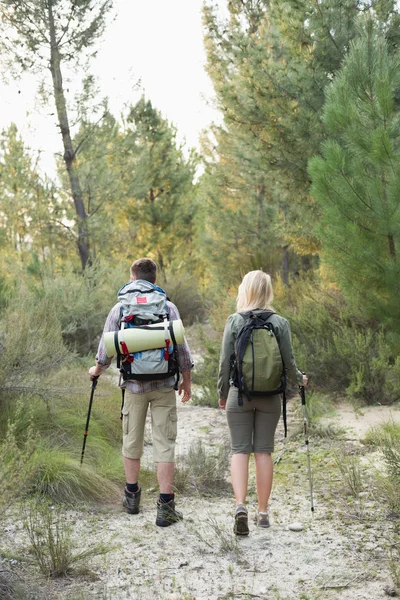 Vista posteriore di una giovane coppia in forma che esplora il bosco — Foto Stock