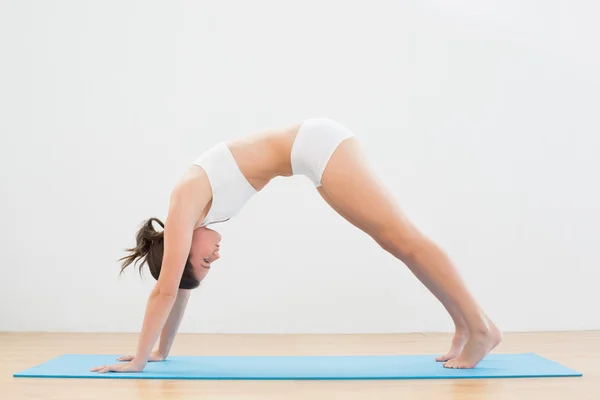 Sporty young woman doing the Downward Facing Dog pose — Stock Photo, Image