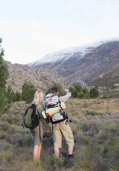 Пара с рюкзаками прогулки по лесному пейзажу — стоковое фото