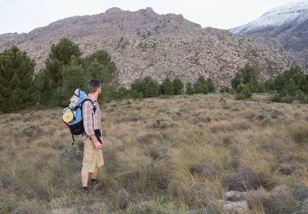 Hombre con mochila de pie en el paisaje forestal — Foto de Stock