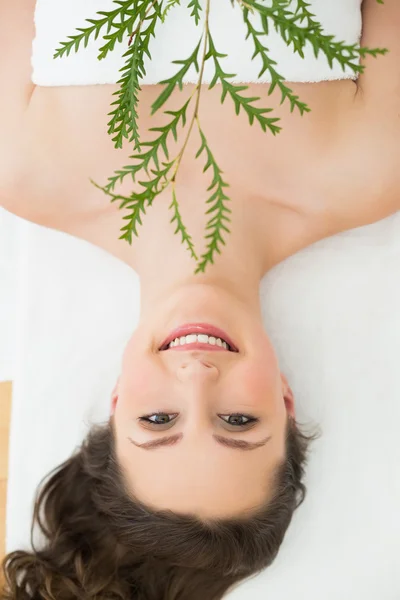 Brunette lying with leaves in beauty salon — Stock Photo, Image