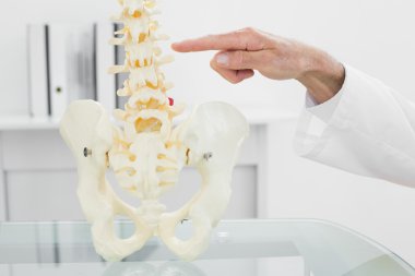 iskelet modeli işaret parmağı