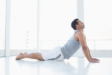 fitness salonunda cobra poz yapan genç erkek uygun