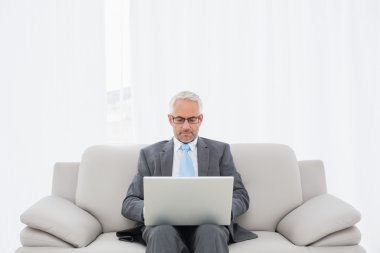 집에서 노트북을 사용 하 여 성숙한 사업 집중