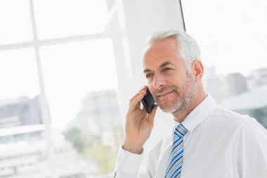 Olgun işadamı cep telefonu kullanma office gülümseyen