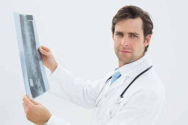 Portrait of a male doctor examining spine x-ray — Stock Photo, Image