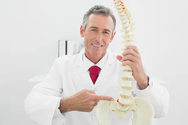 Médico varón sonriente explicando la columna vertebral en el consultorio — Foto de Stock