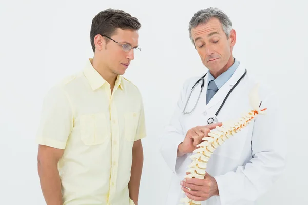 Doctor showing patient something on skeleton model — Stock Photo, Image