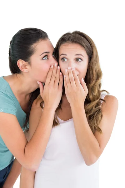 Two young female friends gossiping — Stock Photo, Image